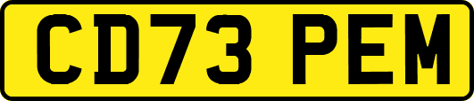 CD73PEM