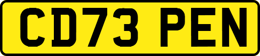 CD73PEN