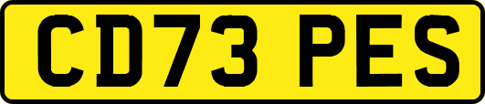 CD73PES