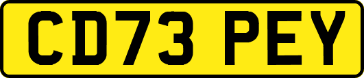 CD73PEY