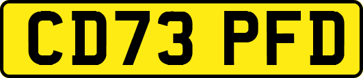 CD73PFD