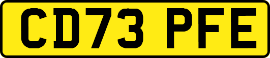 CD73PFE