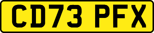 CD73PFX