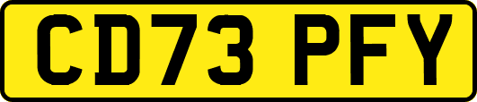 CD73PFY