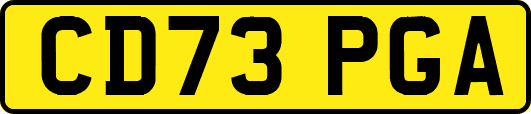 CD73PGA