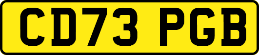 CD73PGB