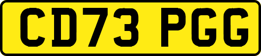 CD73PGG