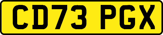 CD73PGX