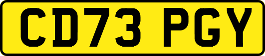 CD73PGY