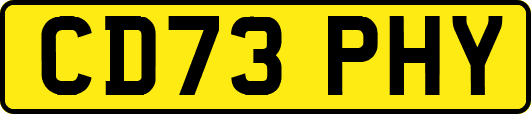 CD73PHY