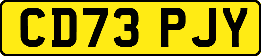 CD73PJY