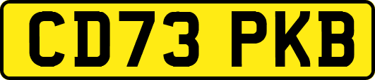 CD73PKB