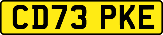 CD73PKE