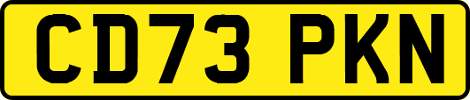 CD73PKN