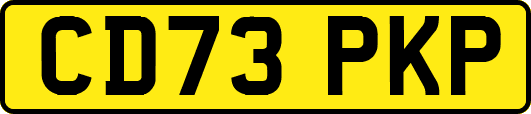 CD73PKP