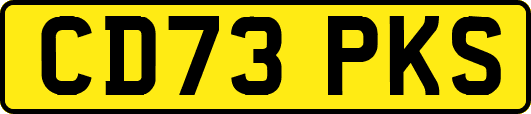 CD73PKS