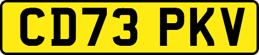 CD73PKV