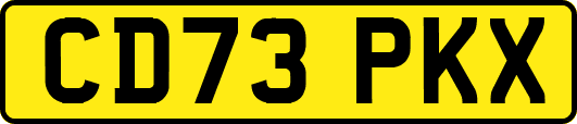 CD73PKX