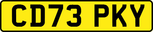 CD73PKY