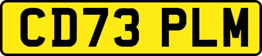 CD73PLM