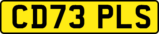CD73PLS