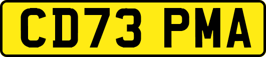 CD73PMA
