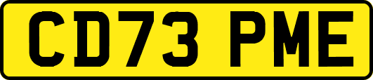 CD73PME