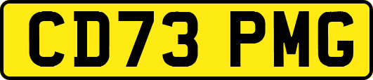 CD73PMG