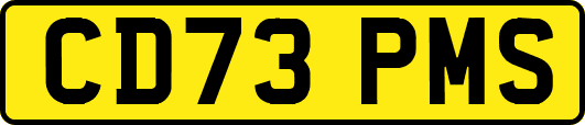 CD73PMS