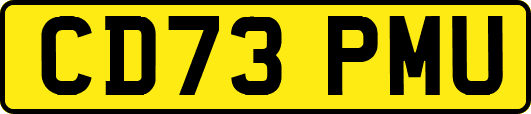 CD73PMU