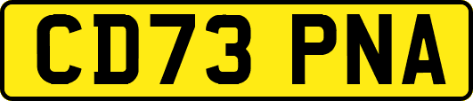 CD73PNA