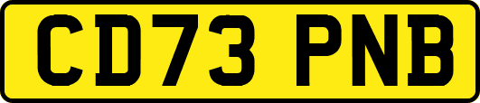 CD73PNB