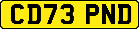 CD73PND