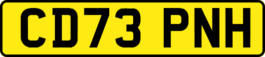 CD73PNH