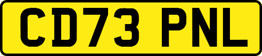 CD73PNL