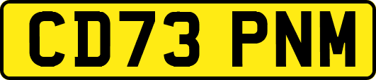 CD73PNM