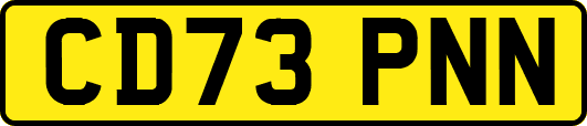 CD73PNN