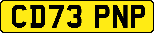 CD73PNP
