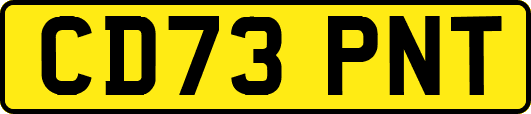 CD73PNT