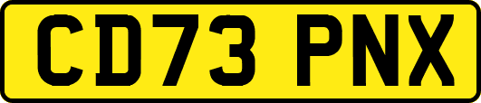 CD73PNX