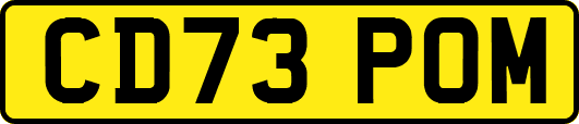 CD73POM