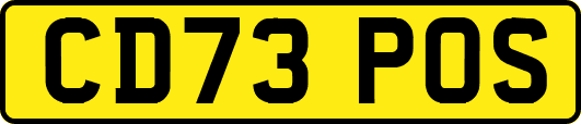 CD73POS
