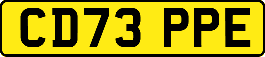 CD73PPE
