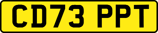 CD73PPT
