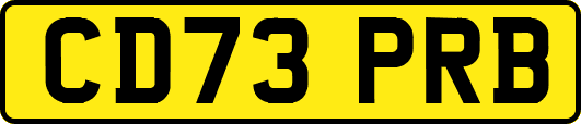 CD73PRB