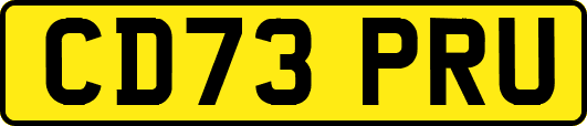 CD73PRU