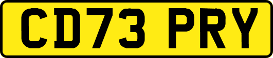 CD73PRY