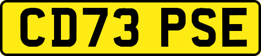 CD73PSE