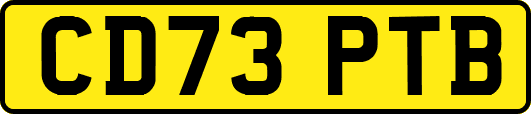 CD73PTB