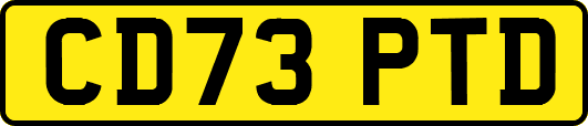 CD73PTD